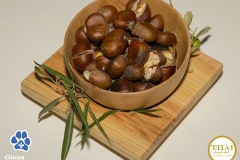 Clinica-Veterinária.pt-Facebook-203