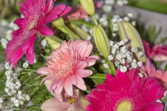 Clinica-Veterinária.pt-Facebook-205