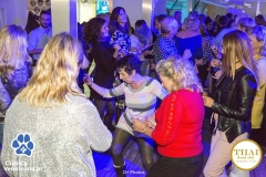 Clinica-Veterinária.pt-Facebook-237