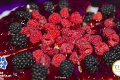 Clinica-Veterinária.pt-Facebook-243