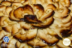 Clinica-Veterinária.pt-Facebook-244