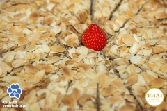 Clinica-Veterinária.pt-Facebook-245