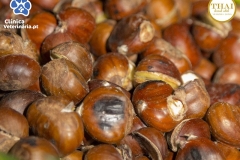 Clinica-Veterinária.pt-Facebook-247